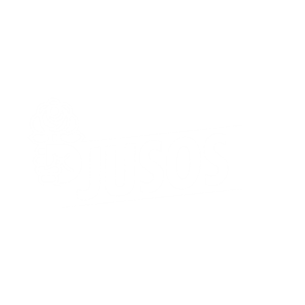 Jusos – Karlsruhe-Stadt